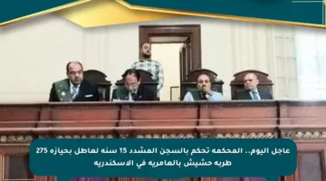 عاجل اليوم.. المحكمة تحكم بالسجن المشدد 15 سنة لعاطل بحيازة 275 طربة حشيش بالعامرية في الإسكندرية